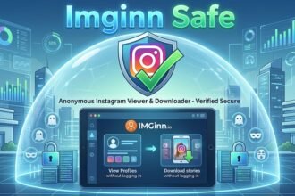 Imginn Safe