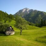 Explore Kardvin-Krn, a rising concept shaping innovation, creativity, and modern thinking across industries in surprising ways.