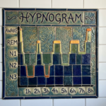 hypnogram