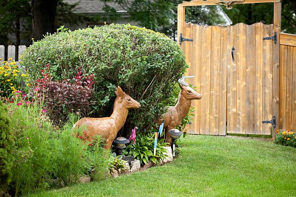 outdoor space into a live masterpiece