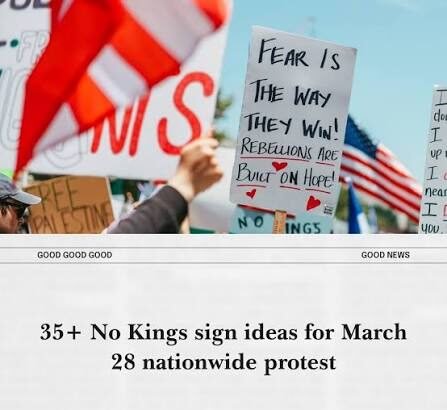 no kings protest sign ideas